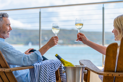 Couple toasting wine glasses