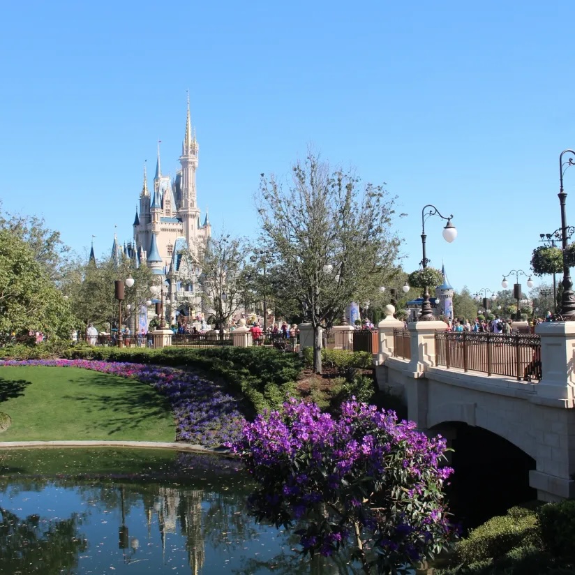 Magic Kingdom